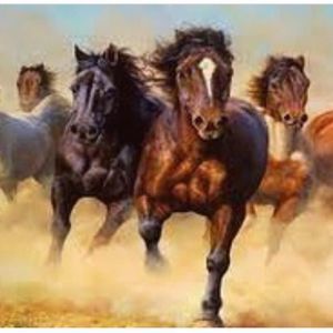 Meet your Posher, Luana